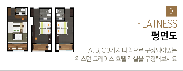 평면도
